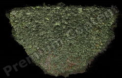 High Resolution Decals Textures 0044